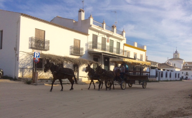 El Rocio8