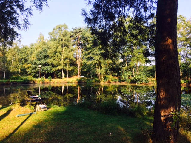 visvijver Holsteenbron