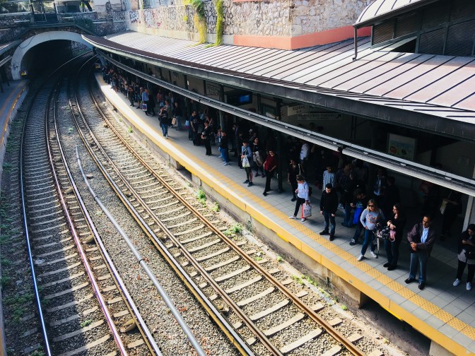 CBDDD53B-6ED4-49B9-A7CA-D4481525946C