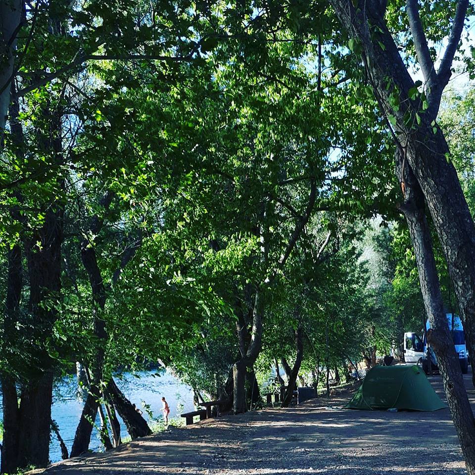 20799033_533059213706261_4207644409305549099_n